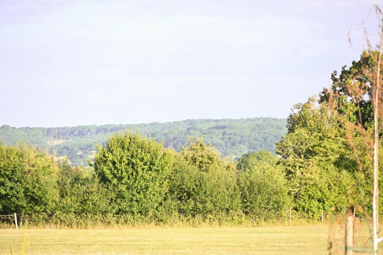 Bluebell Cabin Badsey Exteriér fotografie