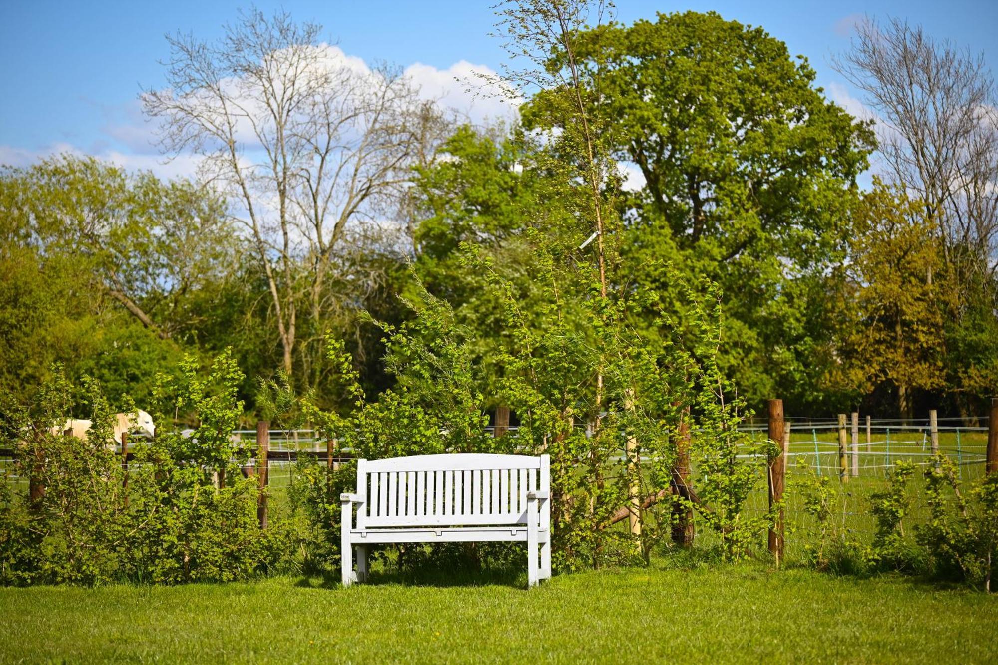 Bluebell Cabin Badsey Exteriér fotografie